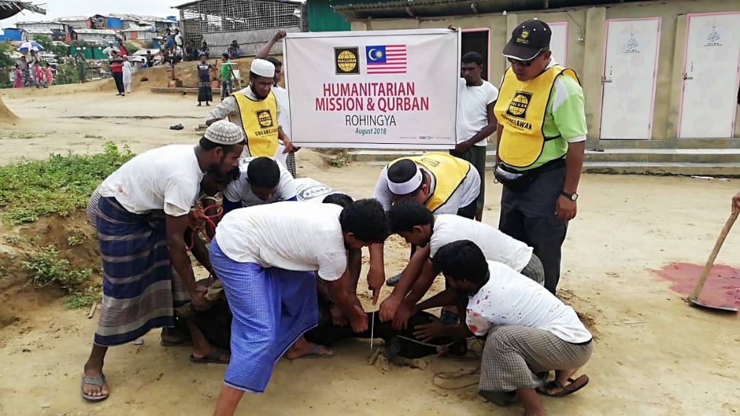 Program Ibadah Korban Rohingya Berjalan Lancar