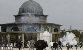 Puluhan Tercedera Di Masjid al-Aqsa