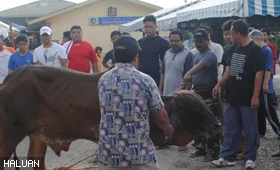 Ibadah Korban Erat Hubungan HALUAN dan Masyarakat Jalan Kebun