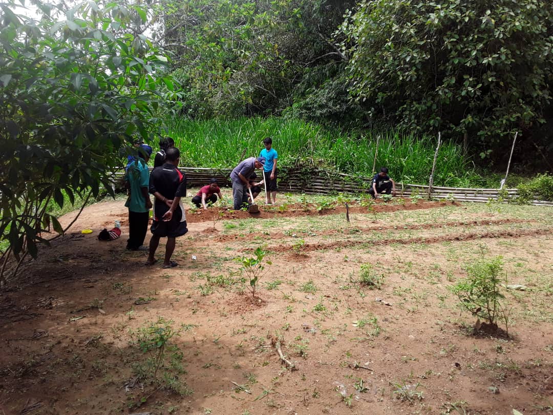 Sukses Fasa 1: Relawan Tani HALUAN Lancar Fasa 2 Untuk Orang Asli Air Banun