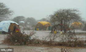 Hujan dan Banjir di Sempadan Kenya-Somalia!