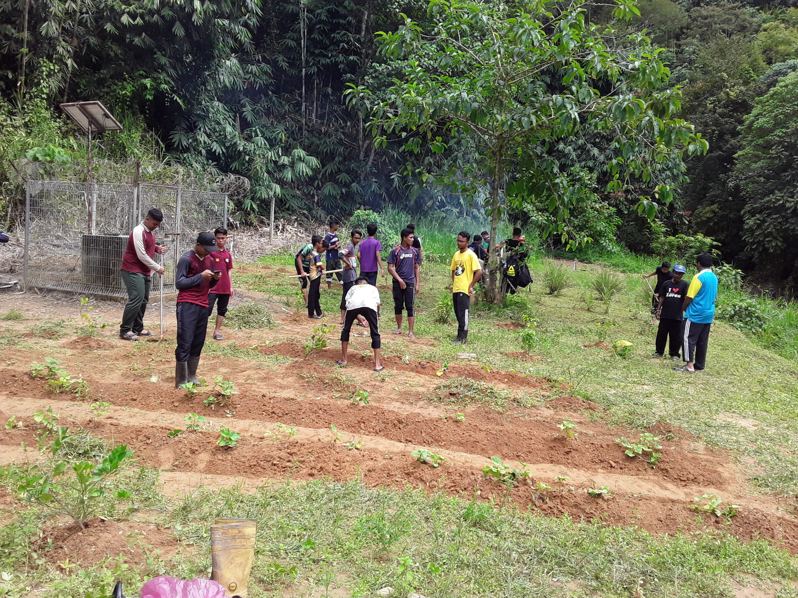 Lepasan iJDK Jadi Relawan Tani di Kampung Orang Asli