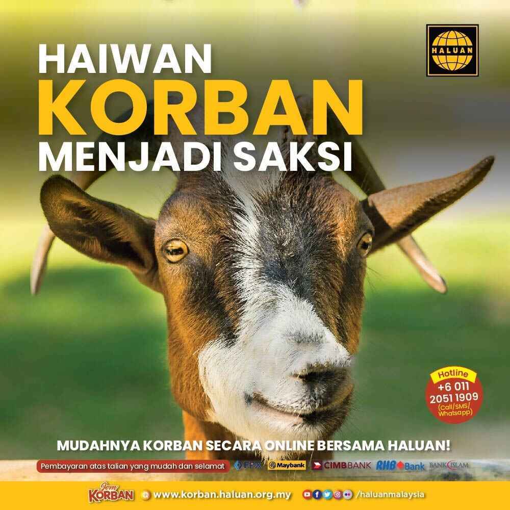 Haiwan Korban Menjadi Saksi