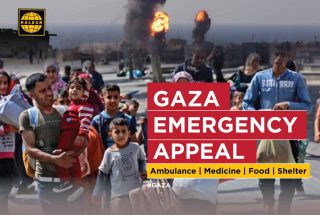 Gaza Emergency Appeal