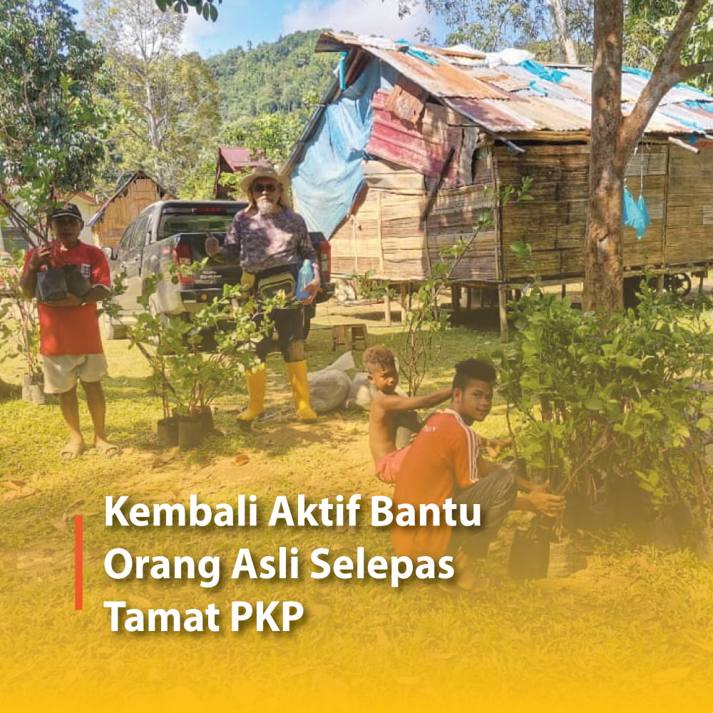 Kembali Aktif Bantu Orang Asli Selepas Tamat PKP