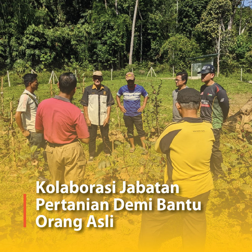 Kolaborasi Jabatan Pertanian Demi Bantu Orang Asli