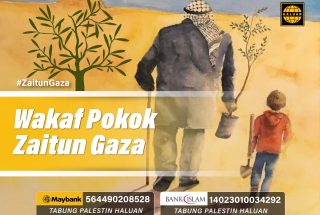Wakaf Pokok Zaitun Gaza
